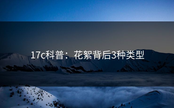 17c科普：花絮背后3种类型