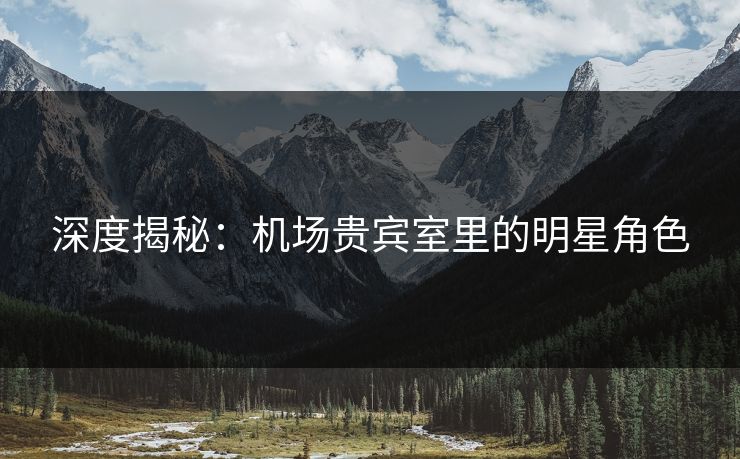 深度揭秘：机场贵宾室里的明星角色