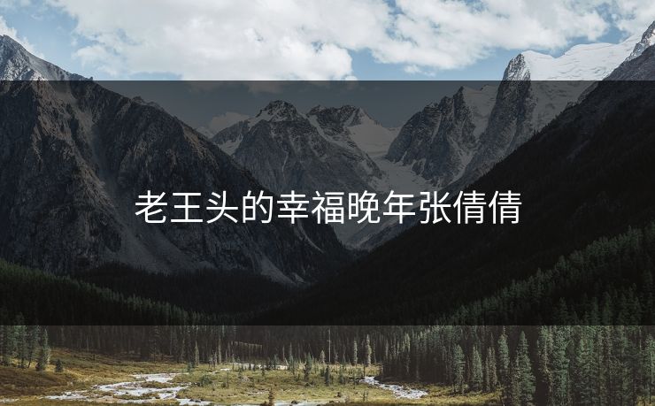 老王头的幸福晚年张倩倩