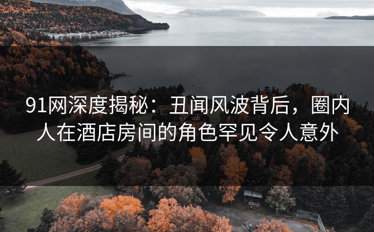 91网深度揭秘：丑闻风波背后，圈内人在酒店房间的角色罕见令人意外