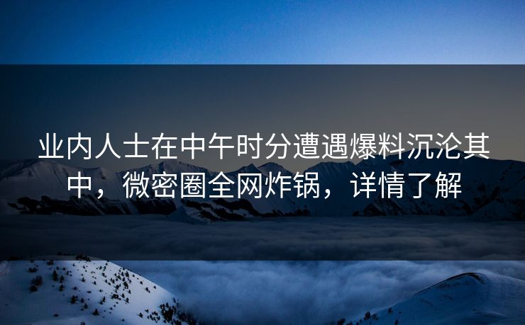 业内人士在中午时分遭遇爆料沉沦其中，微密圈全网炸锅，详情了解