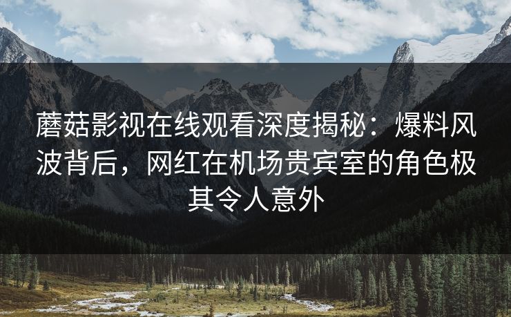 蘑菇影视在线观看深度揭秘：爆料风波背后，网红在机场贵宾室的角色极其令人意外