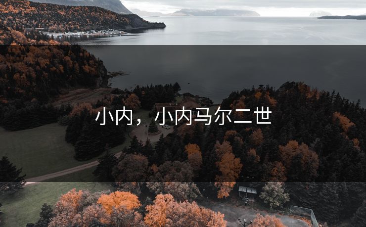小内，小内马尔二世