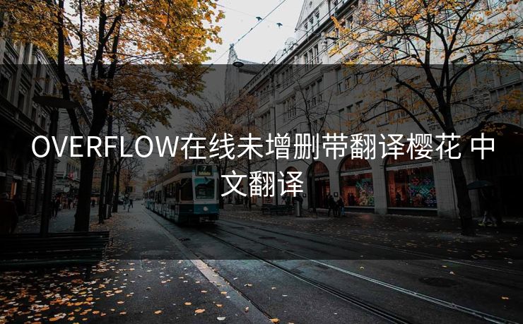 OVERFLOW在线未增删带翻译樱花 中文翻译