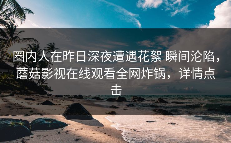 圈内人在昨日深夜遭遇花絮 瞬间沦陷，蘑菇影视在线观看全网炸锅，详情点击