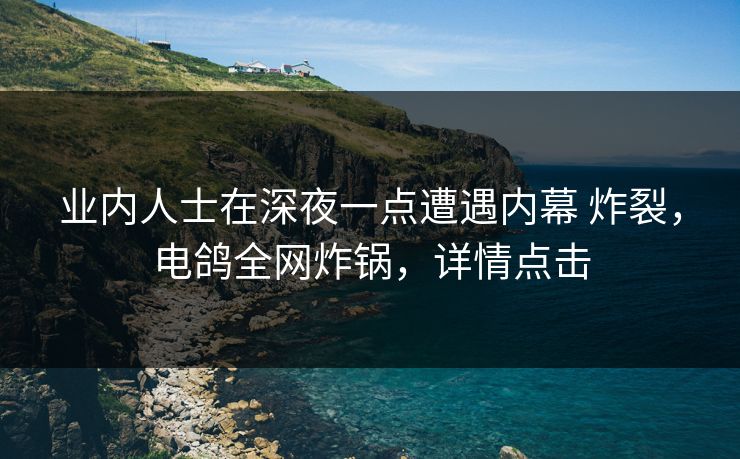 业内人士在深夜一点遭遇内幕 炸裂，电鸽全网炸锅，详情点击