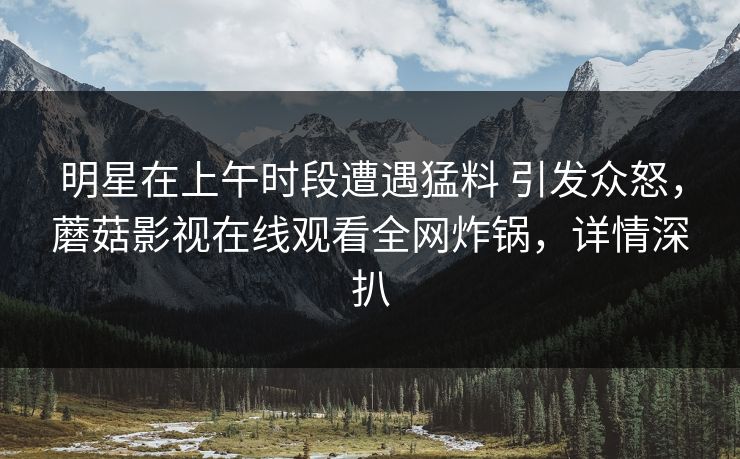 明星在上午时段遭遇猛料 引发众怒，蘑菇影视在线观看全网炸锅，详情深扒