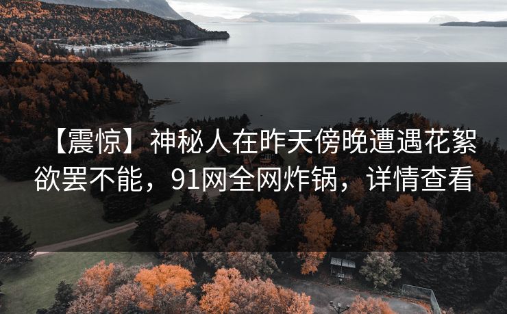 【震惊】神秘人在昨天傍晚遭遇花絮 欲罢不能，91网全网炸锅，详情查看