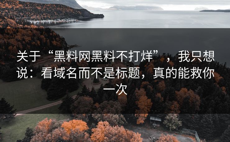 关于“黑料网黑料不打烊”，我只想说：看域名而不是标题，真的能救你一次