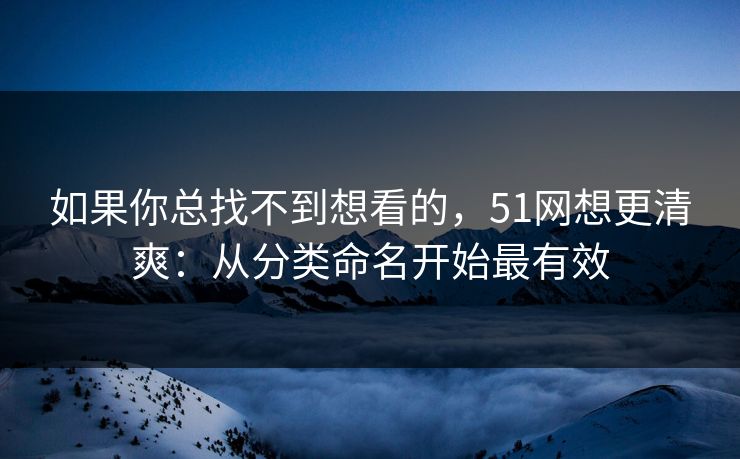 如果你总找不到想看的，51网想更清爽：从分类命名开始最有效