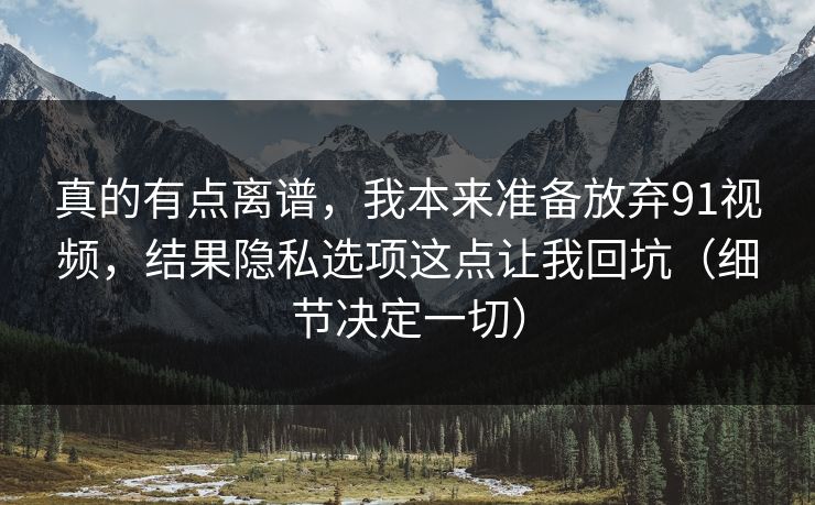 真的有点离谱，我本来准备放弃91视频，结果隐私选项这点让我回坑（细节决定一切）