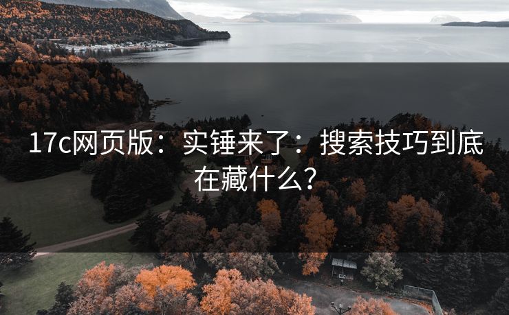 17c网页版：实锤来了：搜索技巧到底在藏什么？
