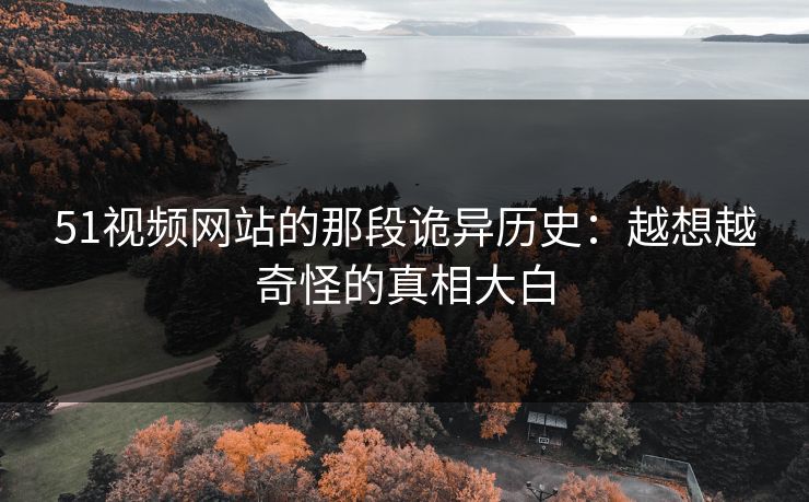 51视频网站的那段诡异历史：越想越奇怪的真相大白